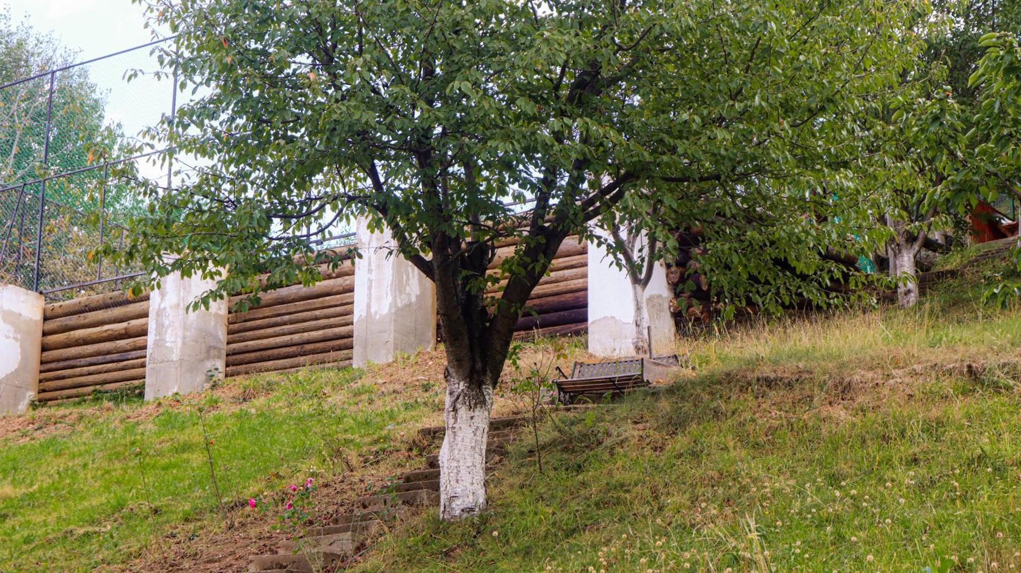 Marginimea Sibiului - Pensiunea Darian & David Orlat Экстерьер фото